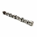 Codicilos 20110712 Voodoo Hydraulic Roller Camshaft for Big Block Chevrolet 282 Series CO3620694